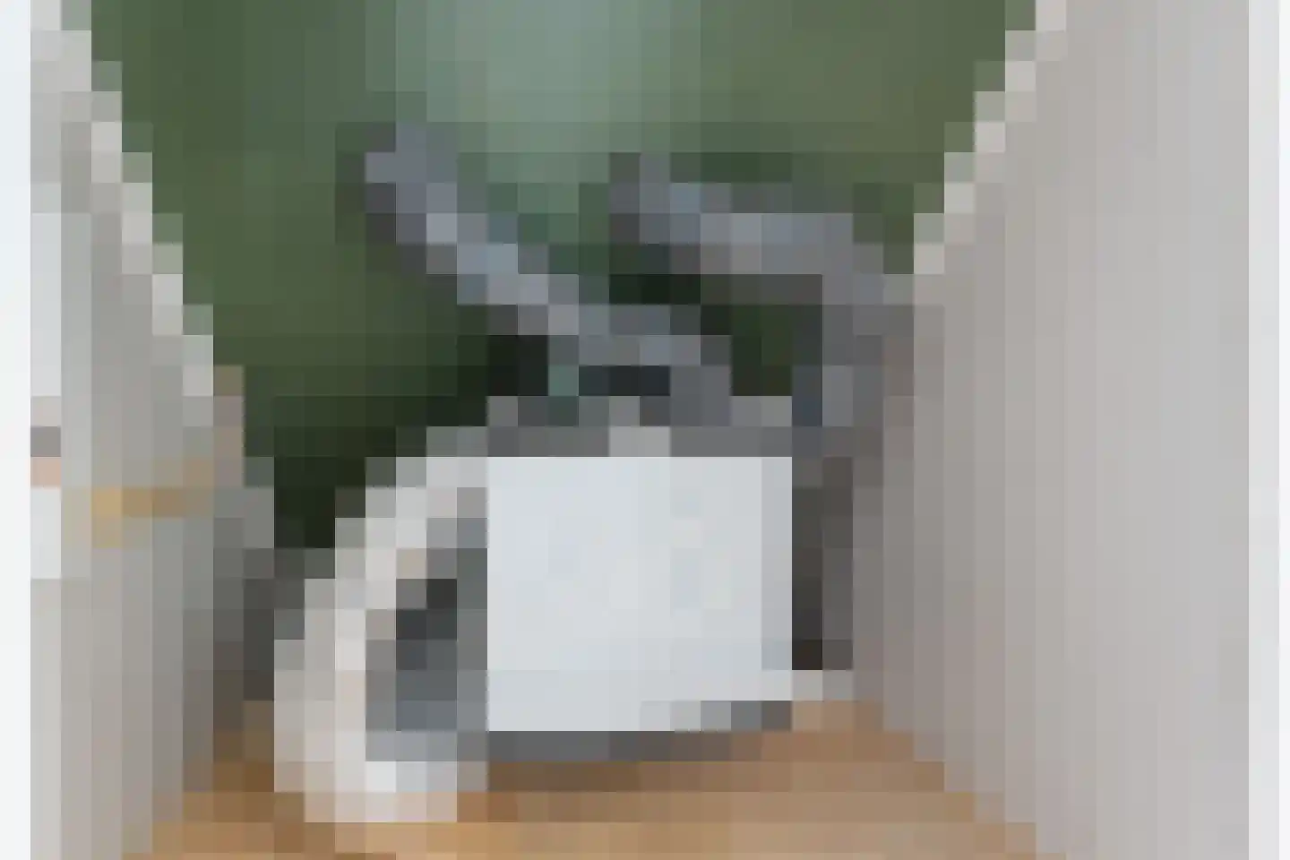 Kiekendief 51 Blauwestad thumbnail 35