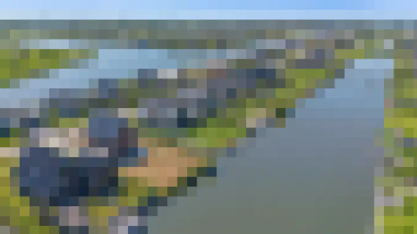 Kiekendief 51 Blauwestad thumbnail 46