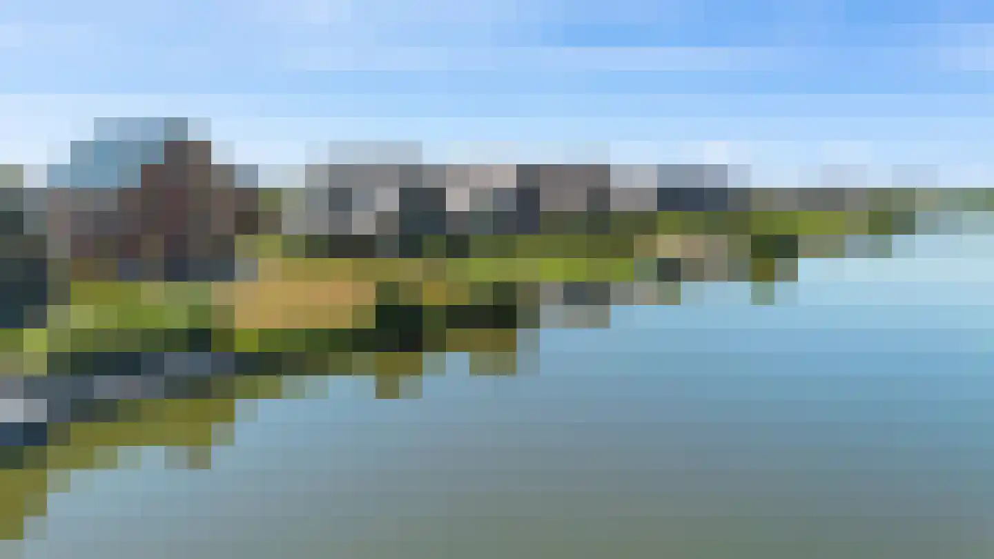 Kiekendief 51 Blauwestad thumbnail 49