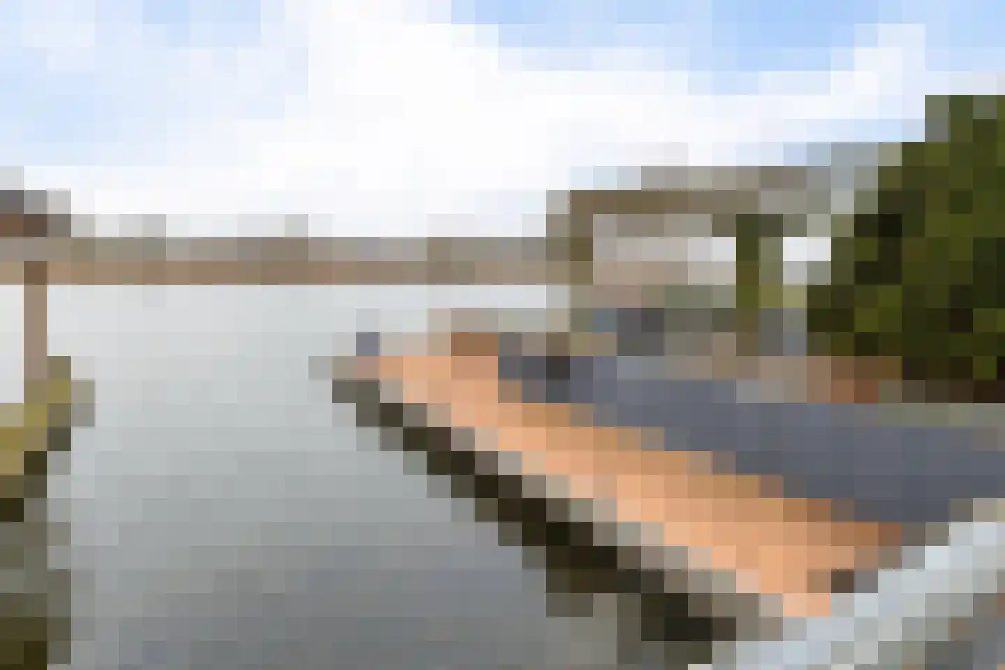 Kiekendief 62 Blauwestad thumbnail 14