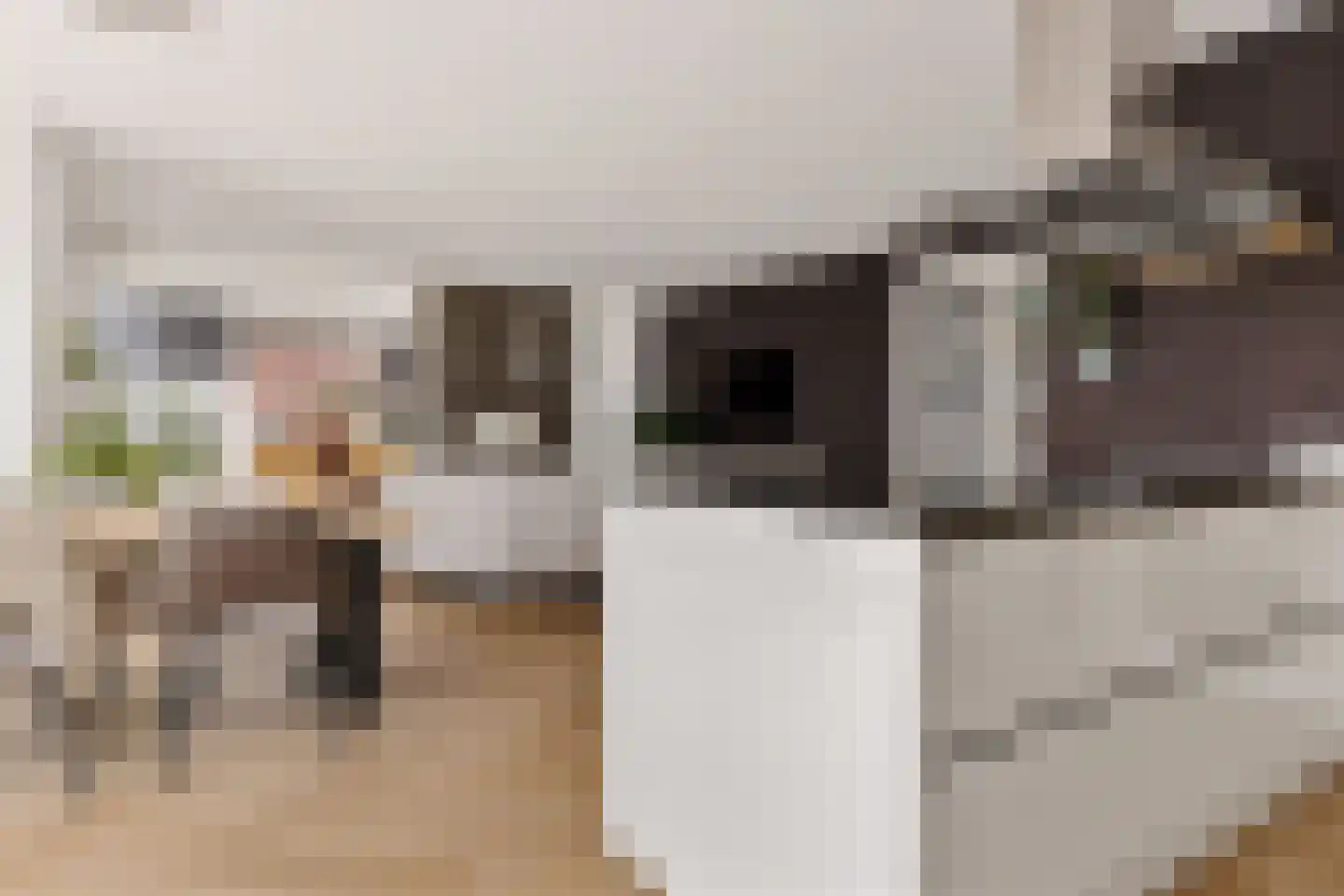 Kiekendief 62 Blauwestad thumbnail 35