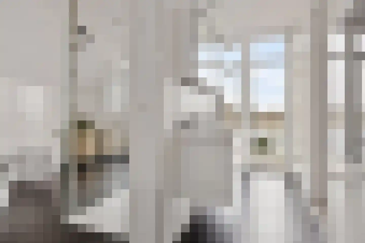 Kiekendief 62 Blauwestad thumbnail 46