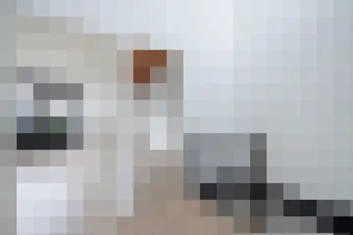 Kiekendiefhof 3 Delft thumbnail 15