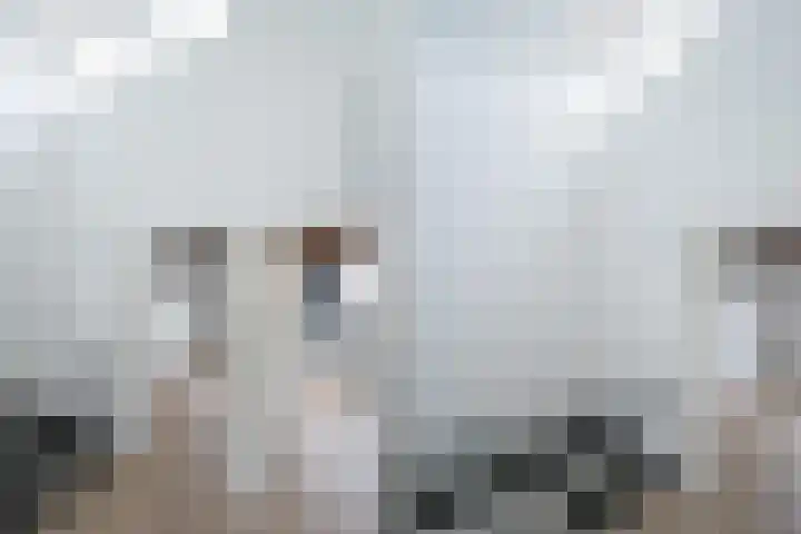 Kiekendiefhof 3 Delft thumbnail 16