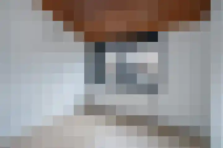 Kiekendiefhof 3 Delft thumbnail 20