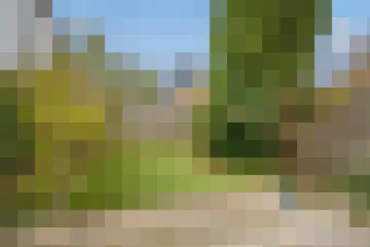Kiekendiefhof 3 Delft thumbnail 30
