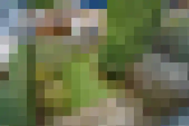 Kiekendiefhof 3 Delft thumbnail 32