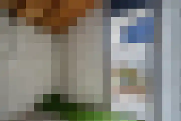 Kiekendiefhof 3 Delft thumbnail 34