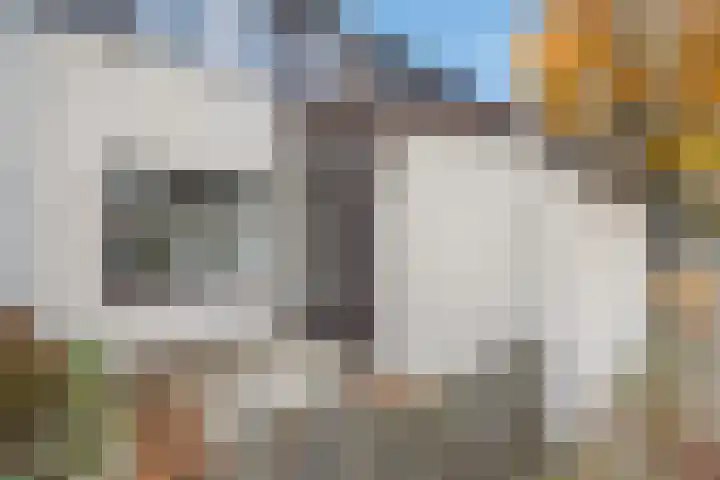 Kiekendiefhof 3 Delft thumbnail 5
