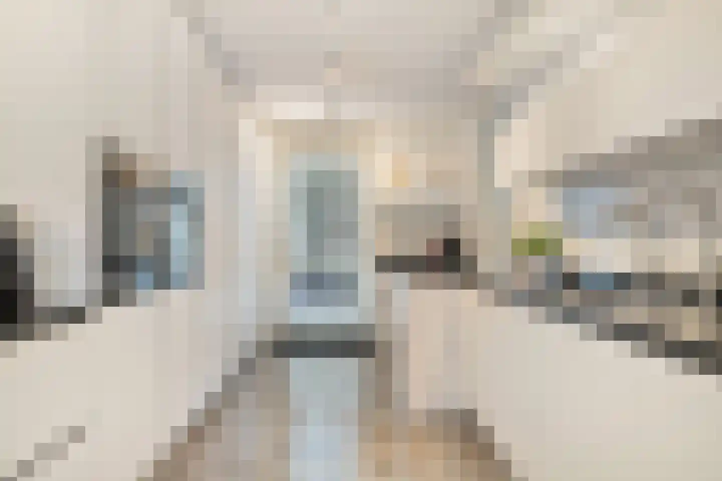 Kiekendieflaan 16 Almere thumbnail 26
