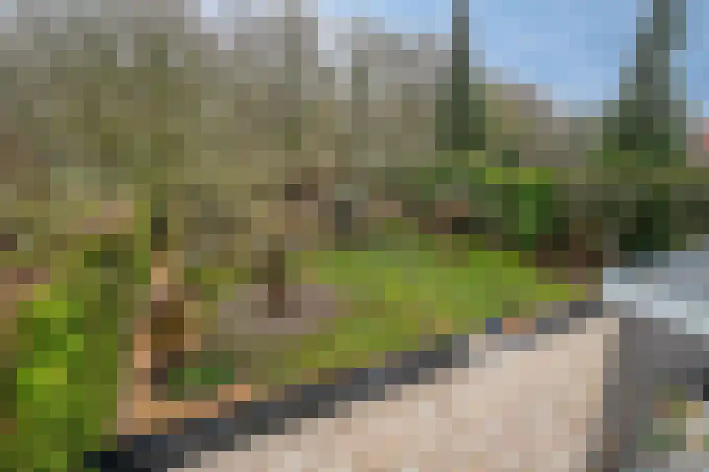 Kiekendieflaan 16 Almere thumbnail 50