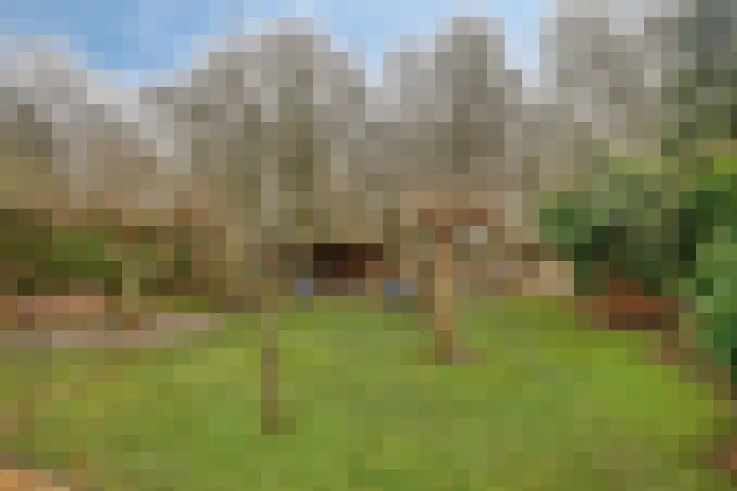 Kiekendieflaan 16 Almere thumbnail 52