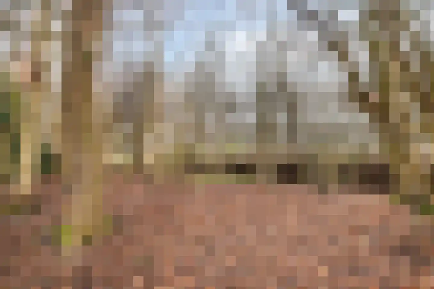 Kiekendieflaan 16 Almere thumbnail 64