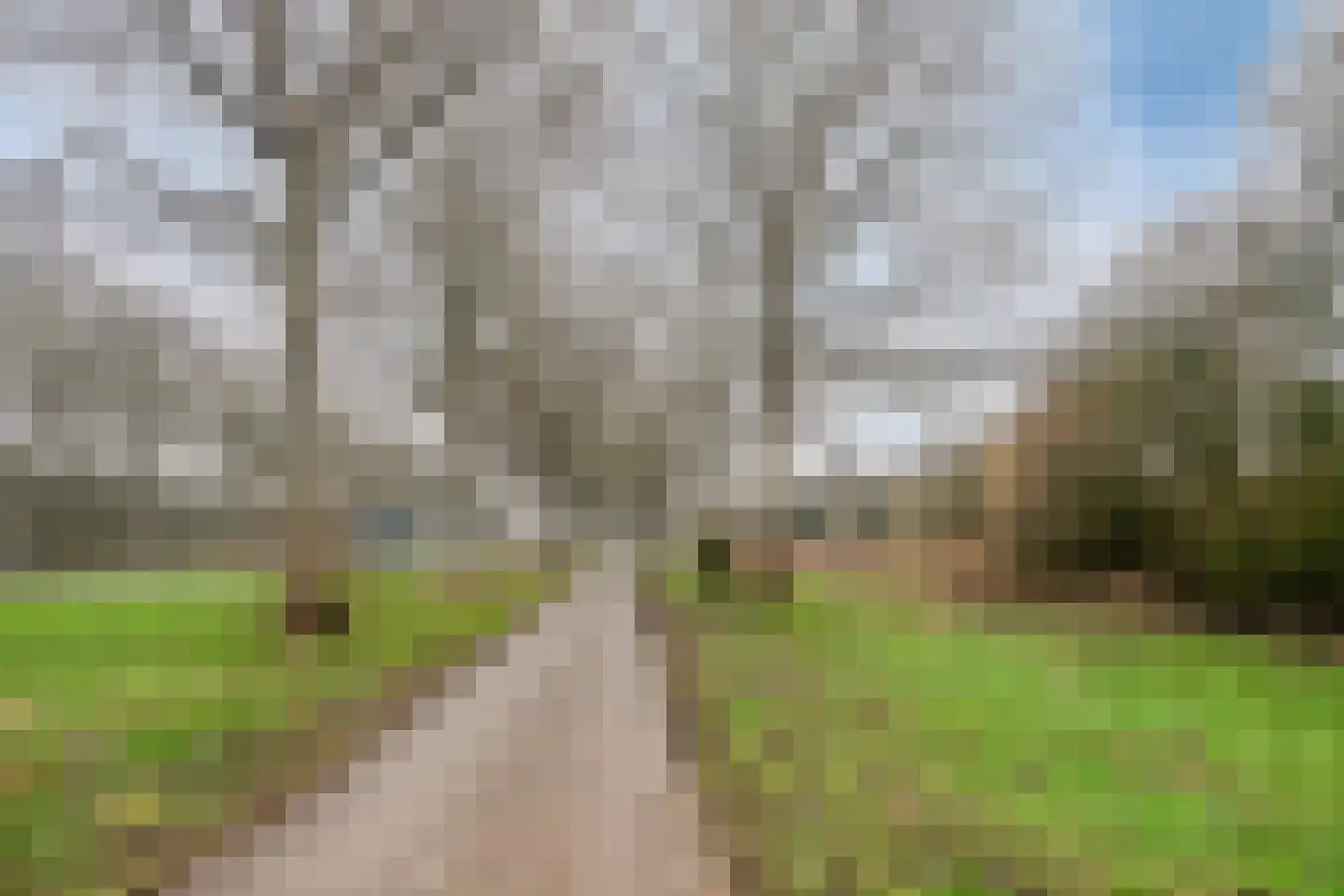Kiekendieflaan 16 Almere thumbnail 70