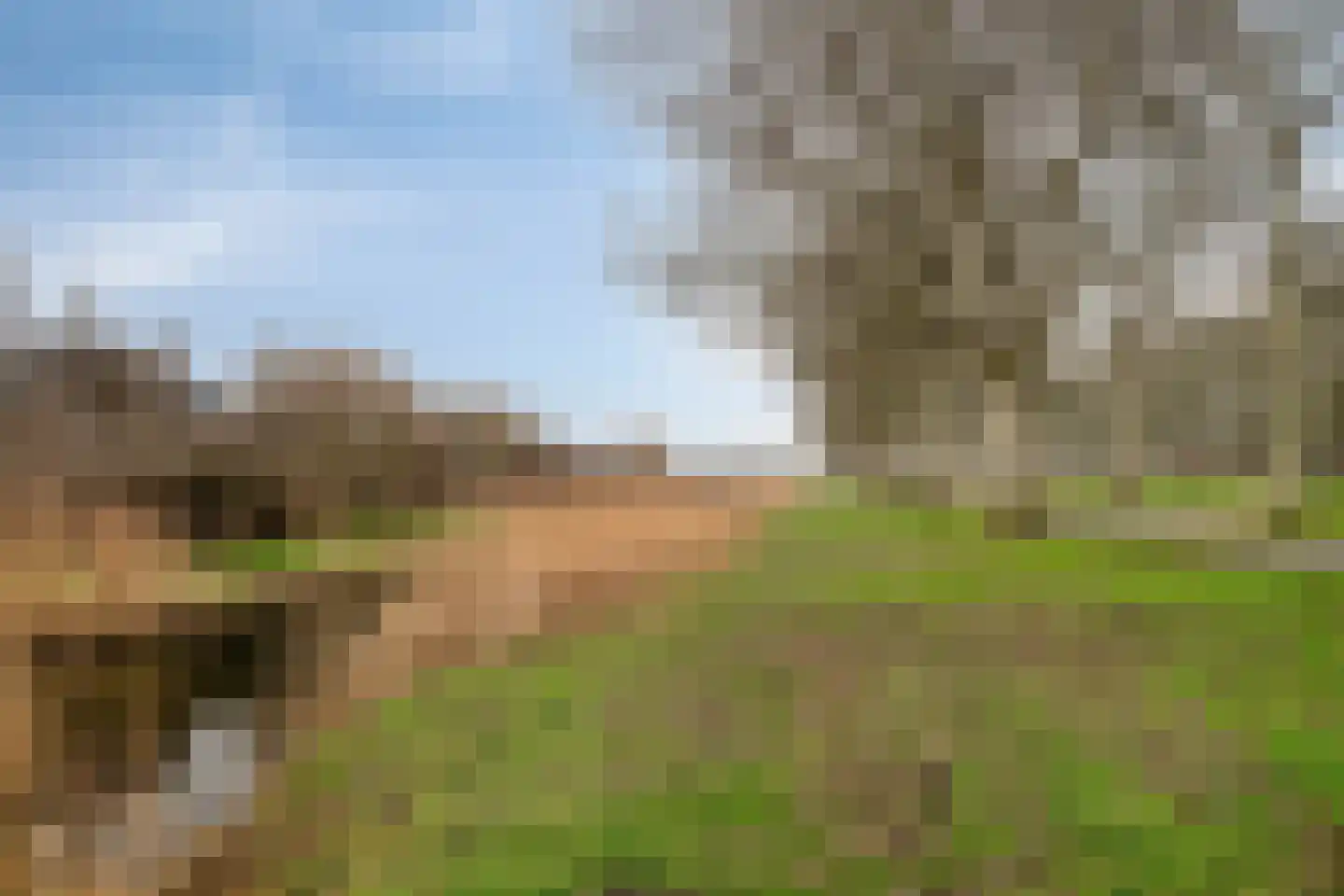 Kiekendieflaan 16 Almere thumbnail 71