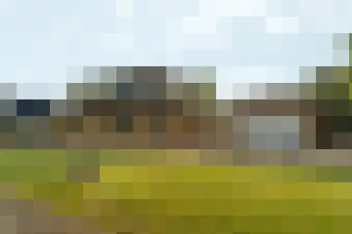 Kiekendieflaan 3 Almere thumbnail 10
