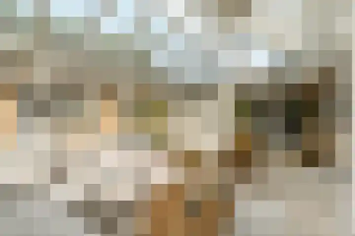 Kiekendieflaan 3 Almere thumbnail 28