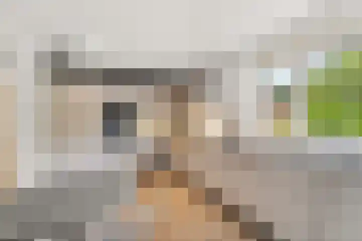 Kiekendieflaan 3 Almere thumbnail 31