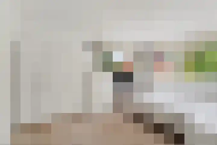 Kiekendieflaan 3 Almere thumbnail 37