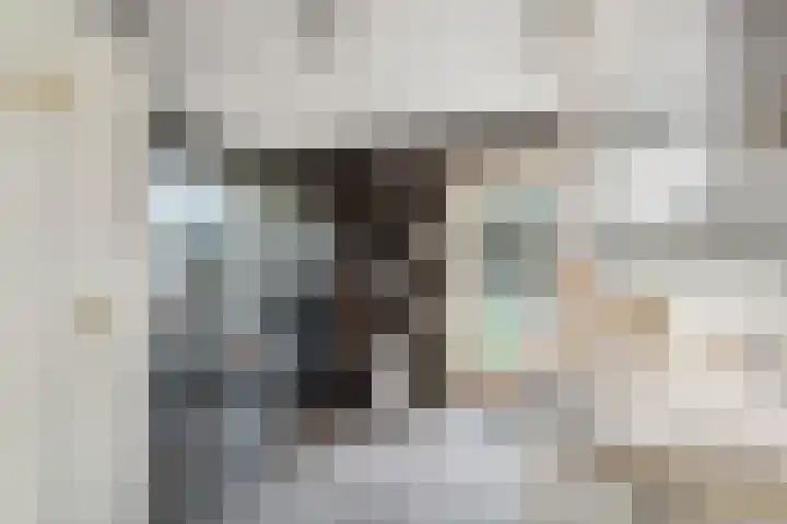 Kiekendieflaan 3 Almere thumbnail 5