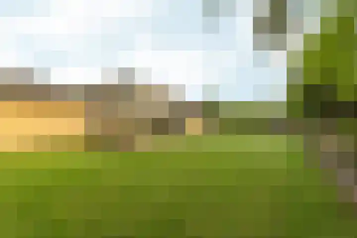 Kiekendieflaan 3 Almere thumbnail 62