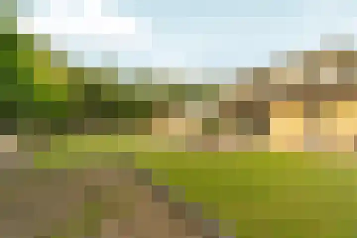 Kiekendieflaan 3 Almere thumbnail 65