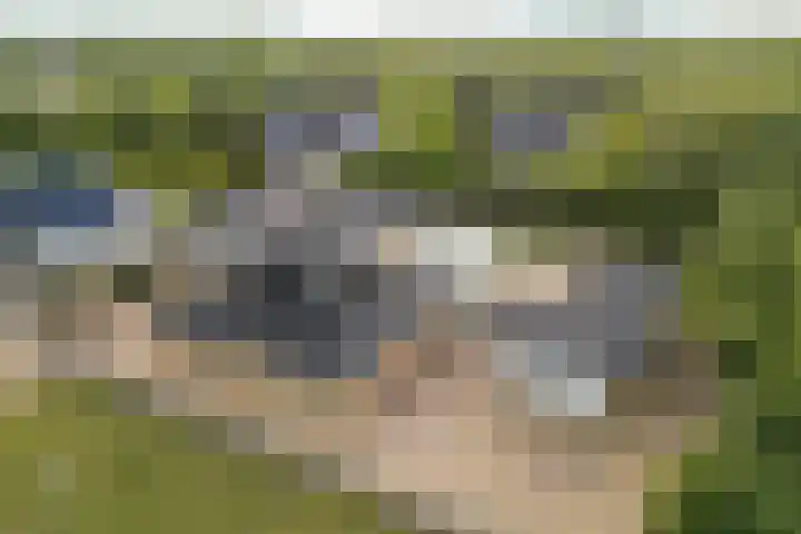 Kiekendieflaan 3 Almere thumbnail 69