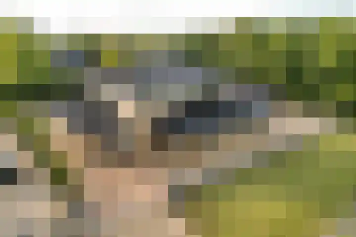 Kiekendieflaan 3 Almere thumbnail 7
