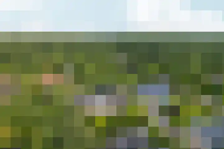 Kiekendieflaan 3 Almere thumbnail 72