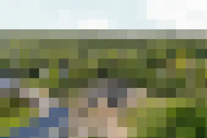 Kiekendieflaan 3 Almere thumbnail 74