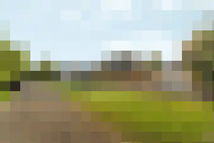 Kiekendieflaan 3 Almere thumbnail 9