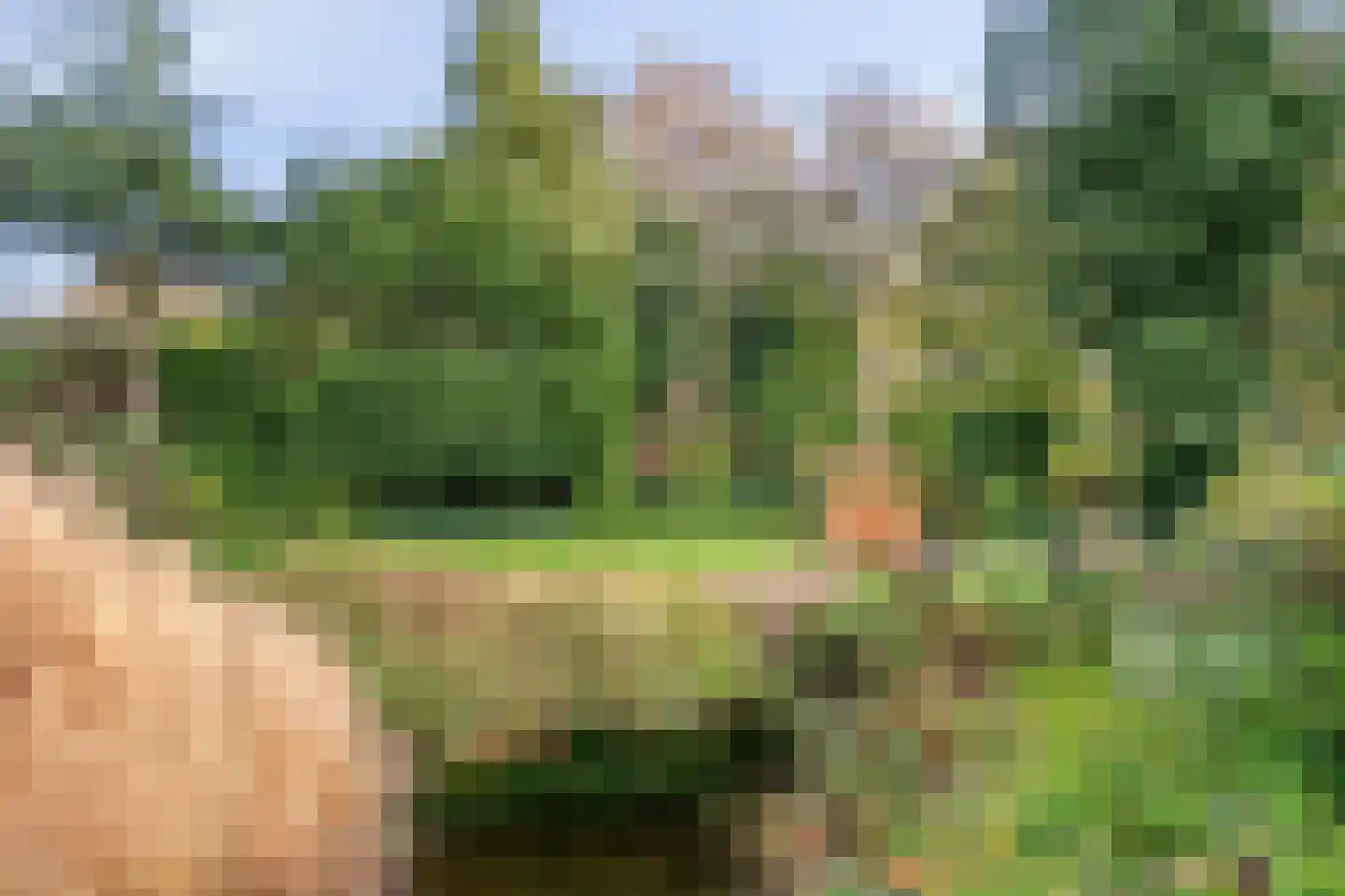 Kiekendieflaan 6 Almere thumbnail 43