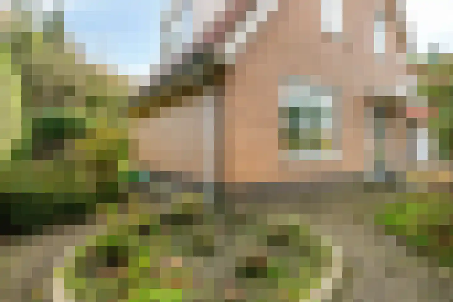 Kiekendieflaan 6 Almere thumbnail 44