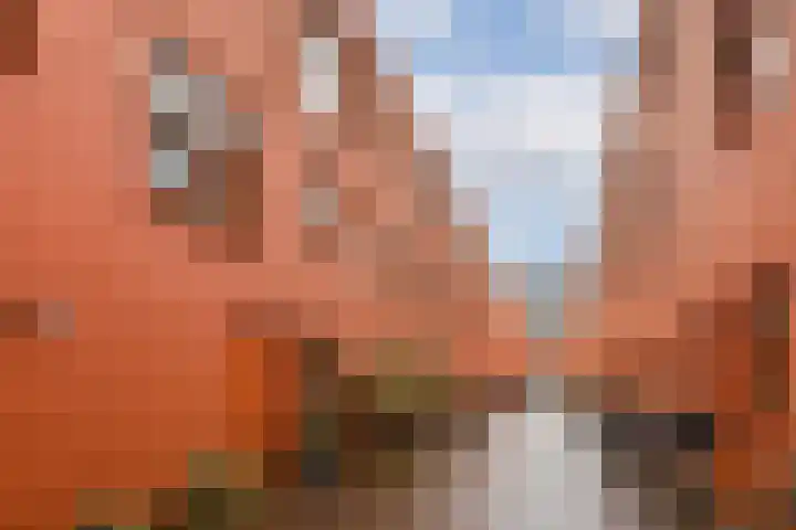 Kiekstraat 15 Amsterdam thumbnail 29