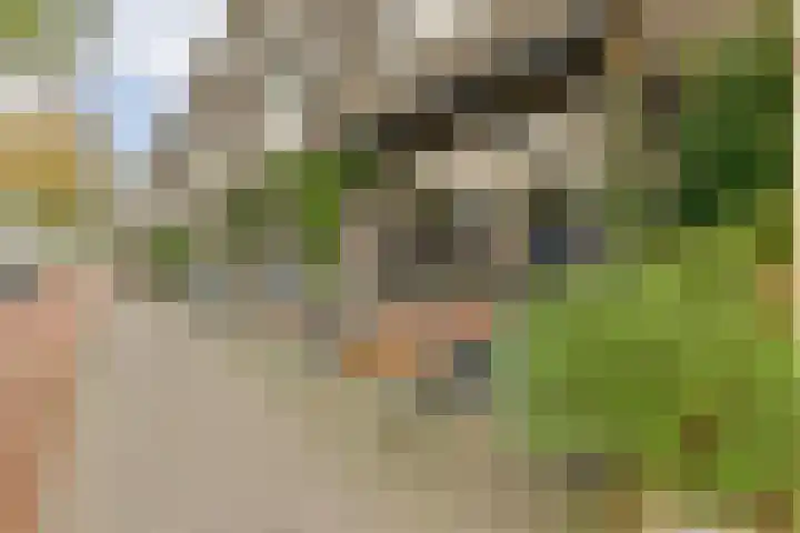 Kiekstraat 15 Amsterdam thumbnail 34