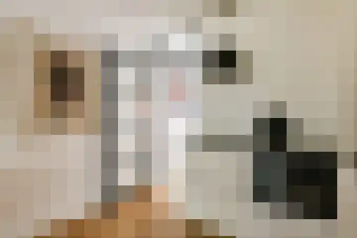 Kiekstraat 15 Amsterdam thumbnail 6