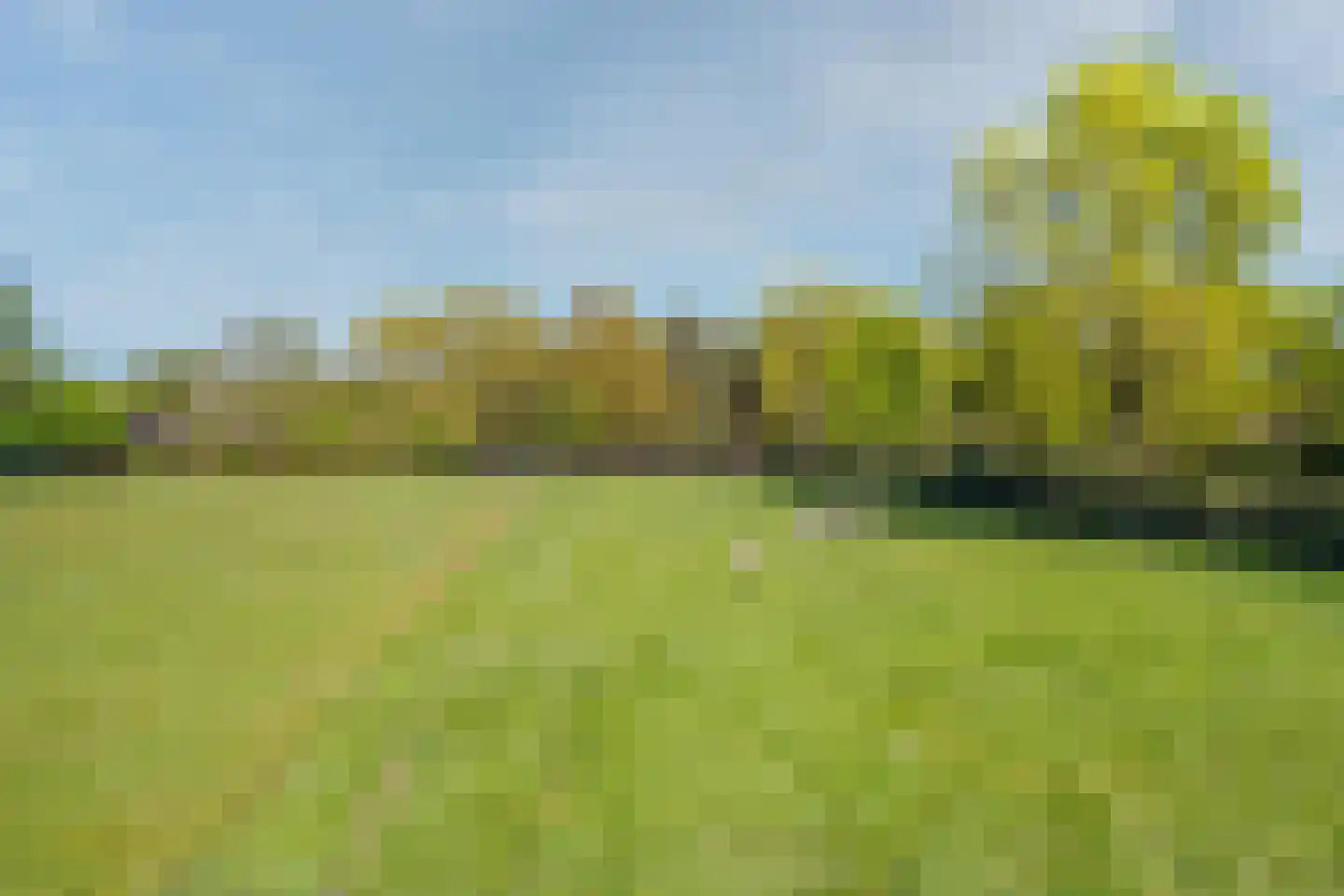 Kiekweg 14 Venray thumbnail 57