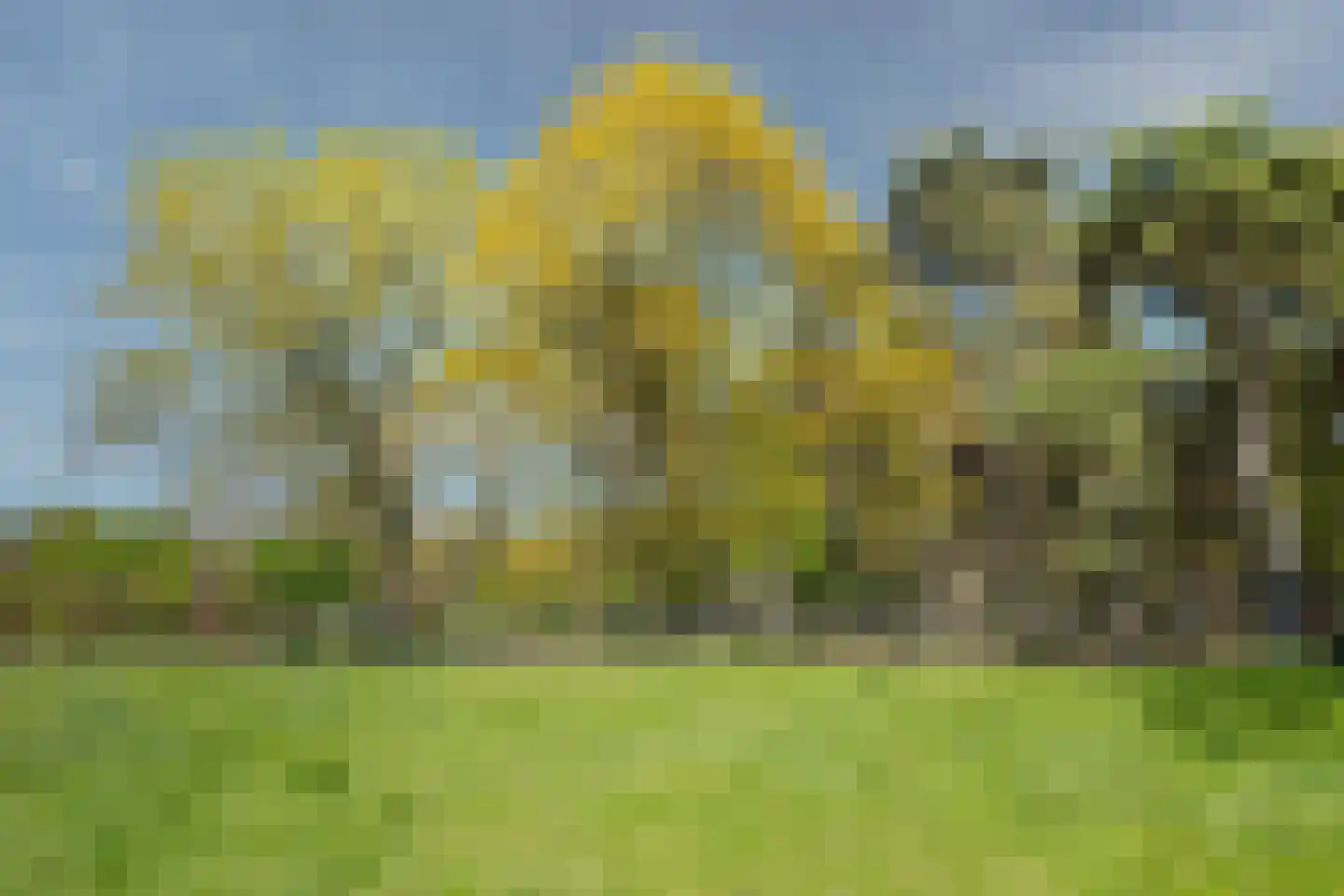 Kiekweg 14 Venray thumbnail 63