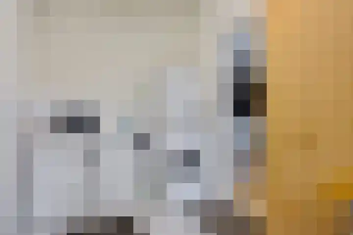 Kiel 14 Klazienaveen thumbnail 20