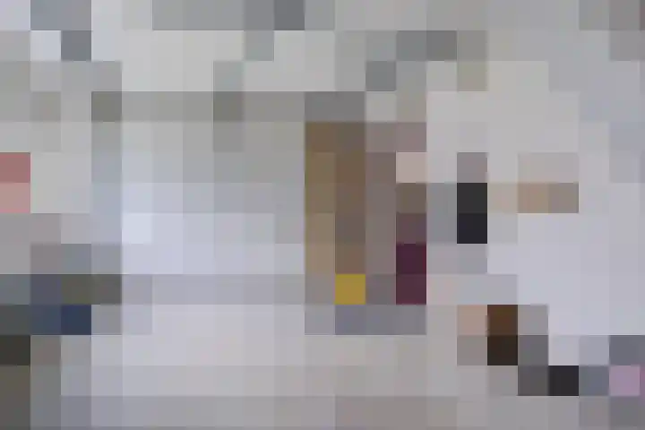 Kiel 14 Klazienaveen thumbnail 21