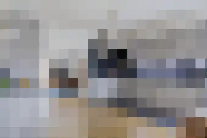 Kiel 14 Klazienaveen thumbnail 8