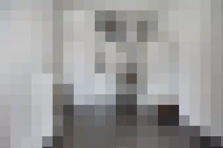 Kiel 6 Meppel thumbnail 24