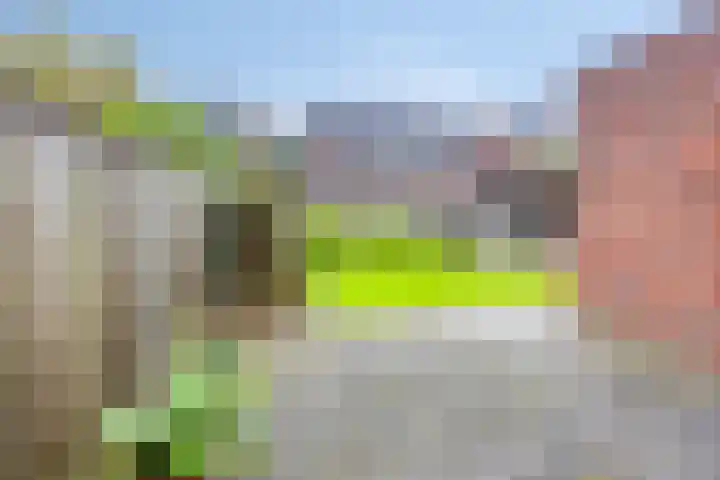 Kiel 6 Meppel thumbnail 35