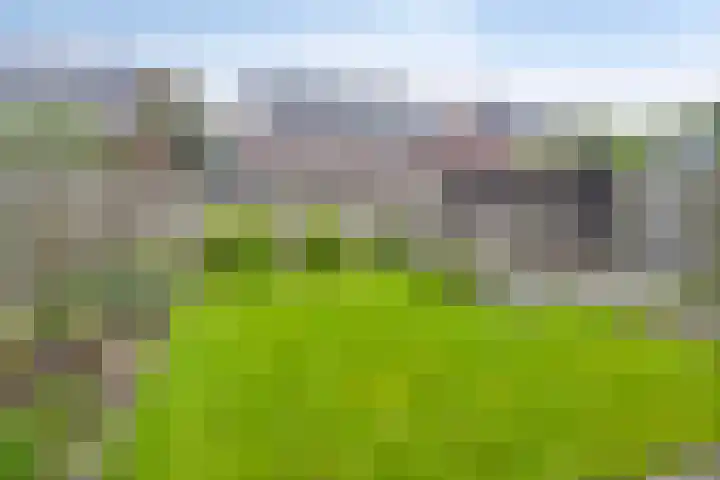 Kiel 6 Meppel thumbnail 37
