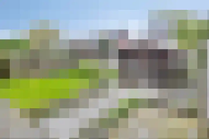 Kiel 6 Meppel thumbnail 38