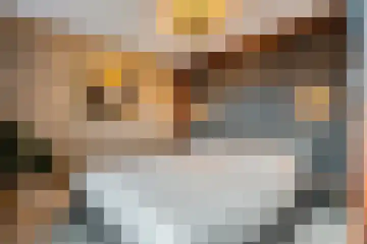 Kiellanden 26 Assen thumbnail 25