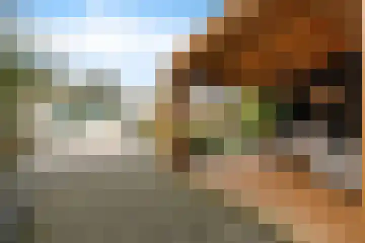 Kiellanden 26 Assen thumbnail 4