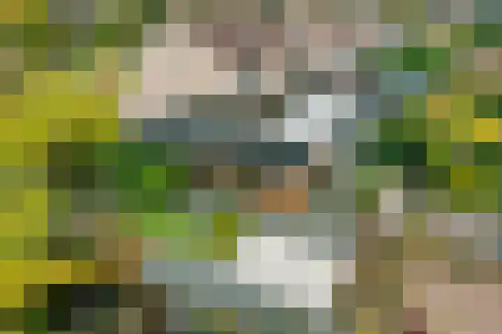 Kiellanden 26 Assen thumbnail 51