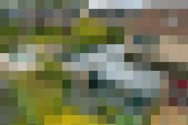 Kiellanden 26 Assen thumbnail 52