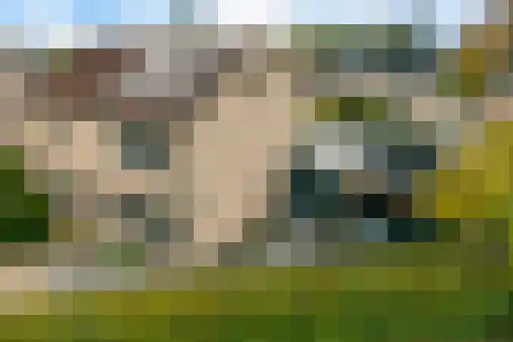 Kiellanden 26 Assen thumbnail 56